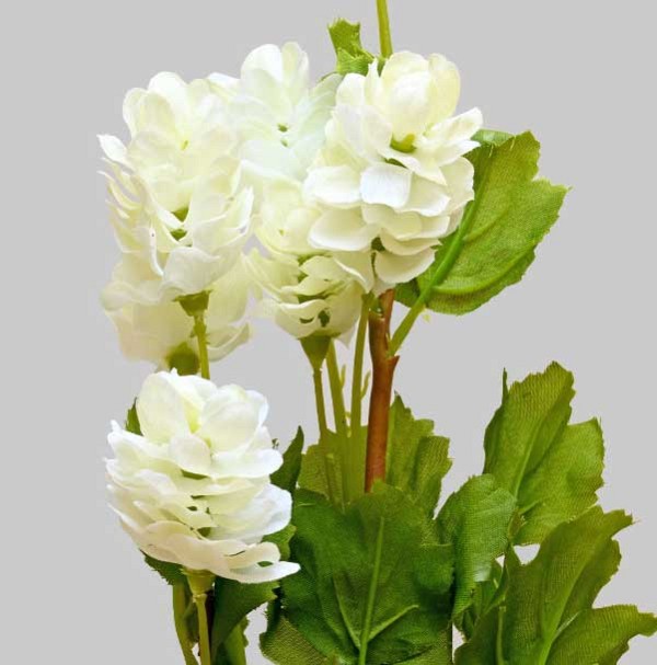 Hops-white