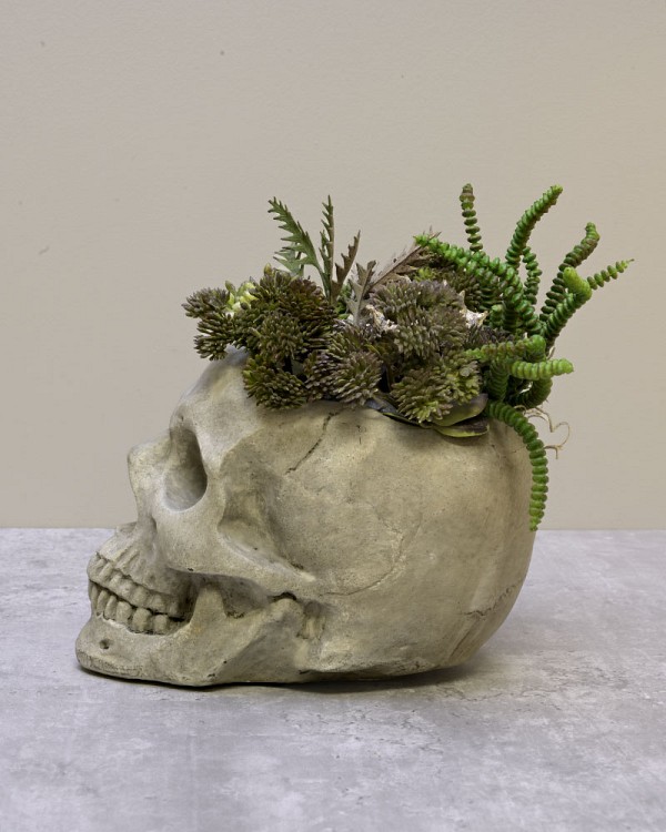 Bone-Garden-3