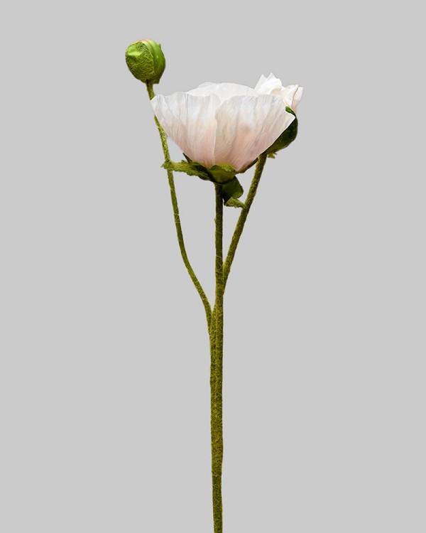 ST-WPY3-LP-225R-3