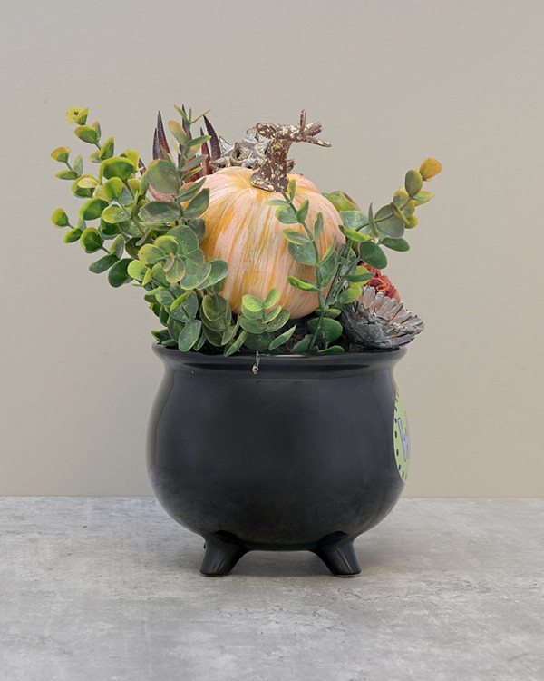 Wicked-Cauldron-5