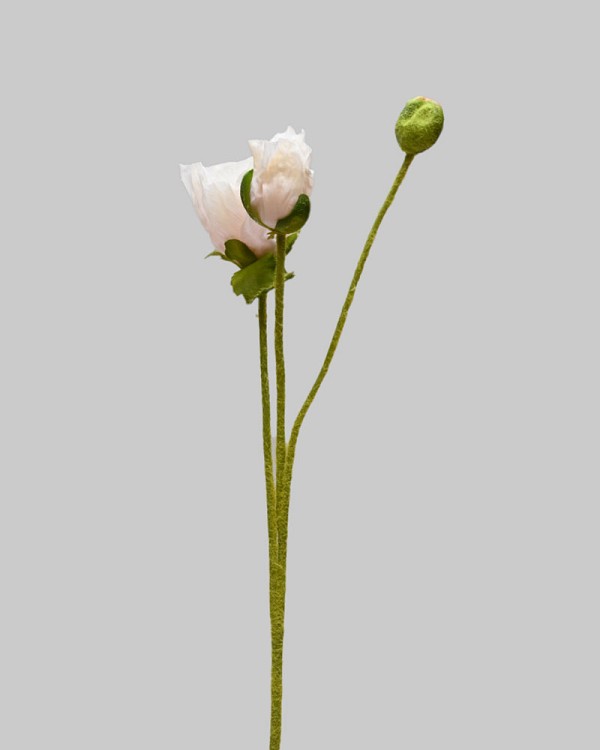 ST-WPY3-LP-225R-2