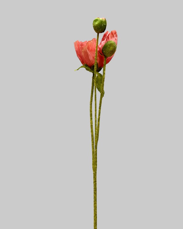 ST-WPY3-PP-225R-2