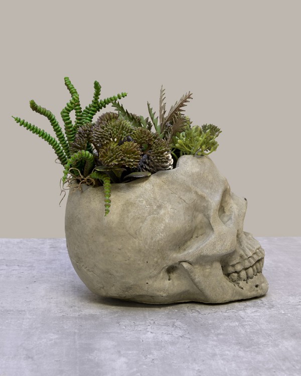 Bone-Garden-6