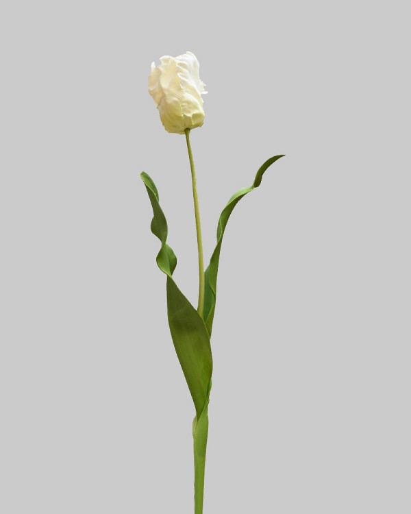 ST-WTPP-WH-225R-3