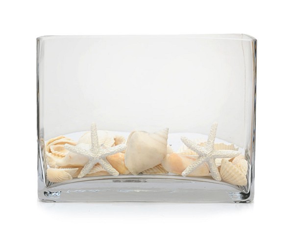 Sea-Shells3