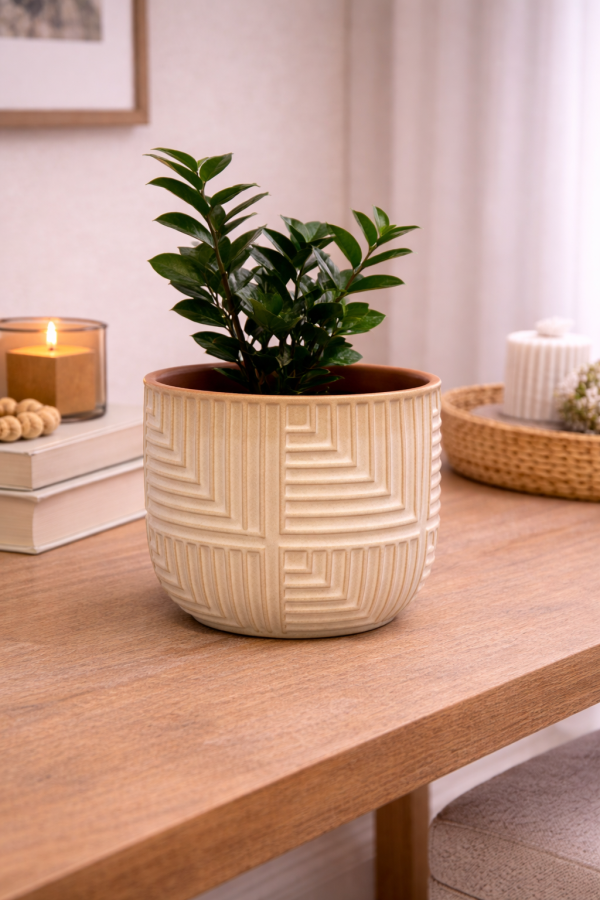 Ceramic planter with lush ZZ plant