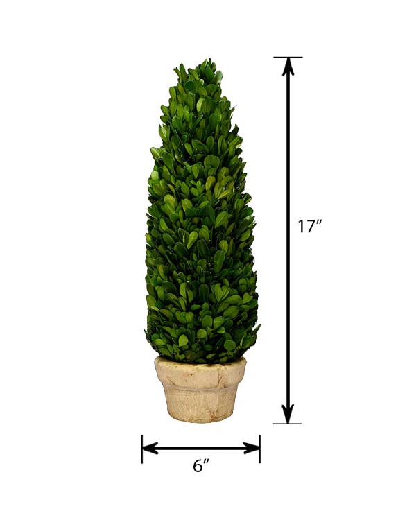 TR-WBXC-GRP-17-55
