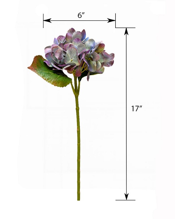 ST-WHY1-LBP-17P-55