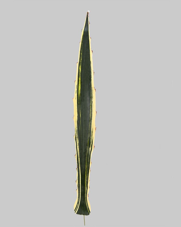 ST-85AG-VG-24-3
