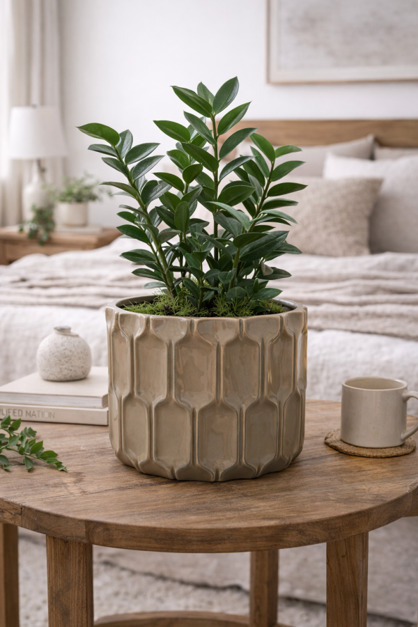 Geometric planter on a rustic table