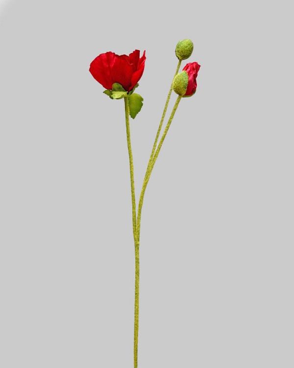 ST-WPY3-RD-225R-3
