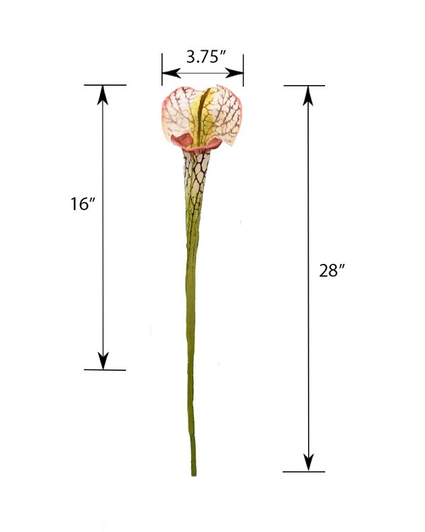 ST-85PI-GRBU-28-5
