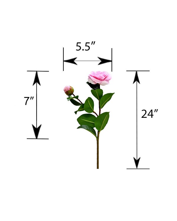 ST-WCA2-PK1-24N-55