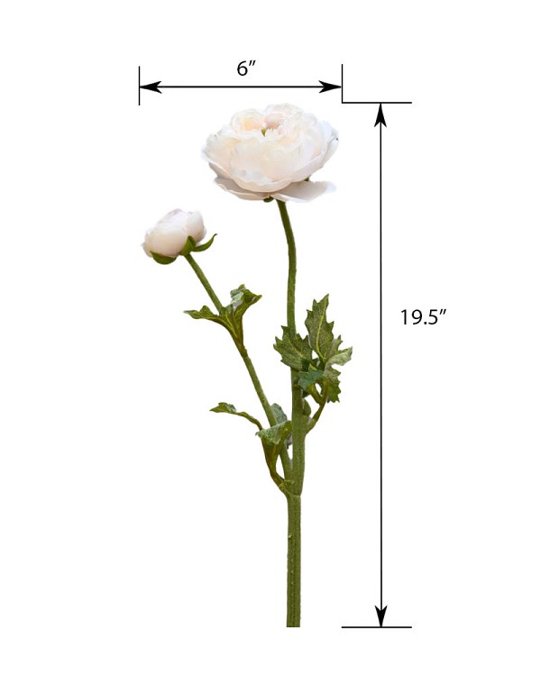 ST-WRN2-DP-195R-55