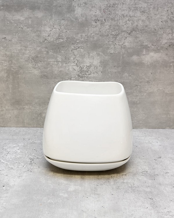 CT-3020-WH-65-2