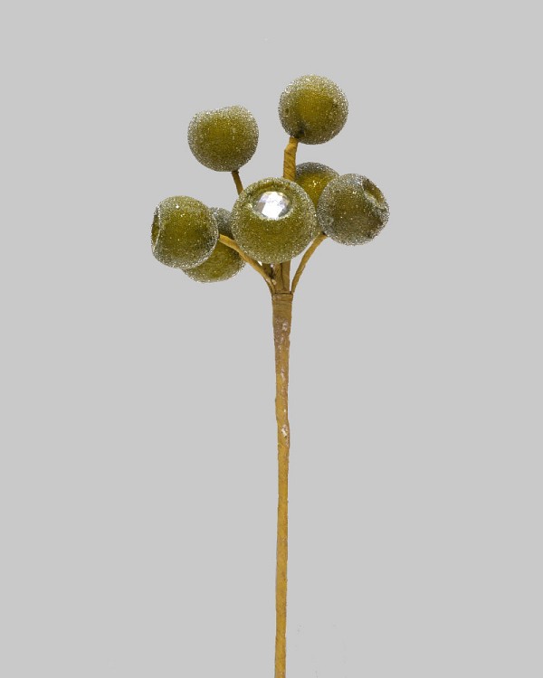 DS-WBPD-GR-10-2