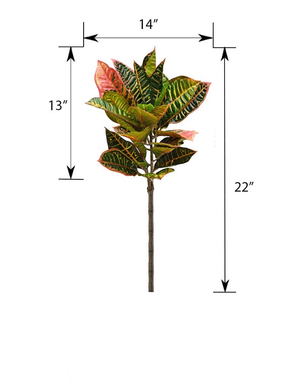ST-WCTN-BUG-22R-4