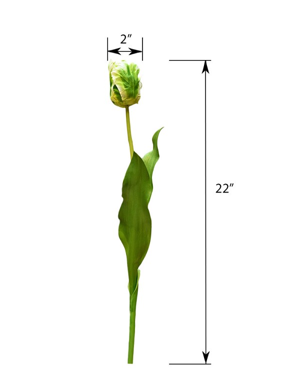ST-WTP-GRWH-22R--4