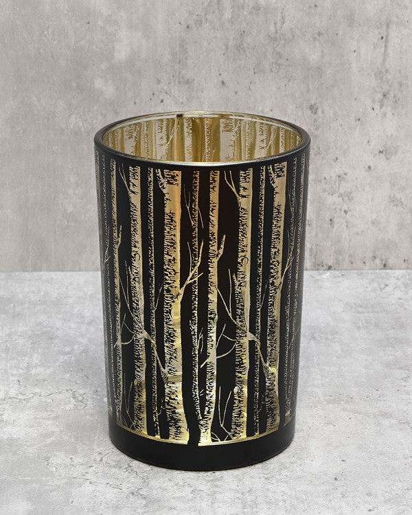 Birch-Tree2