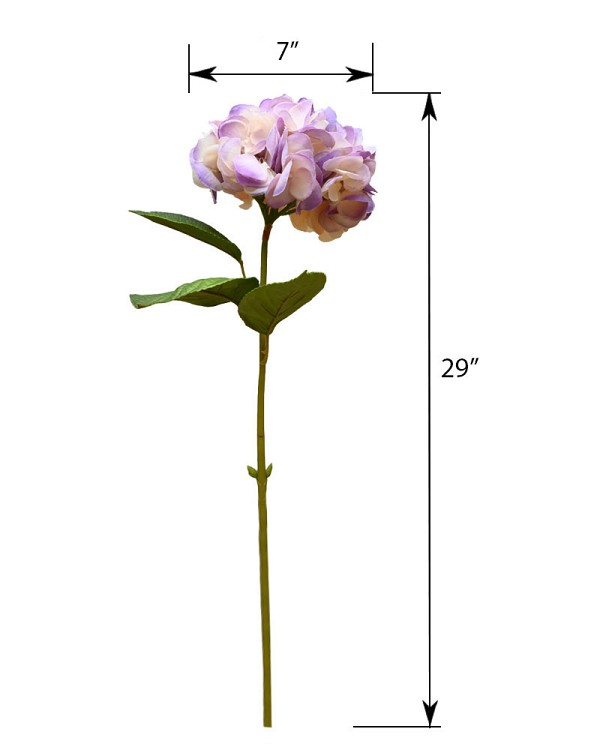 ST-WHY1-PUR-29N-55