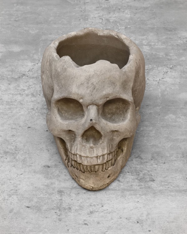 Skelaton3