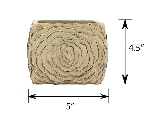CT-4560-FLR-6-55