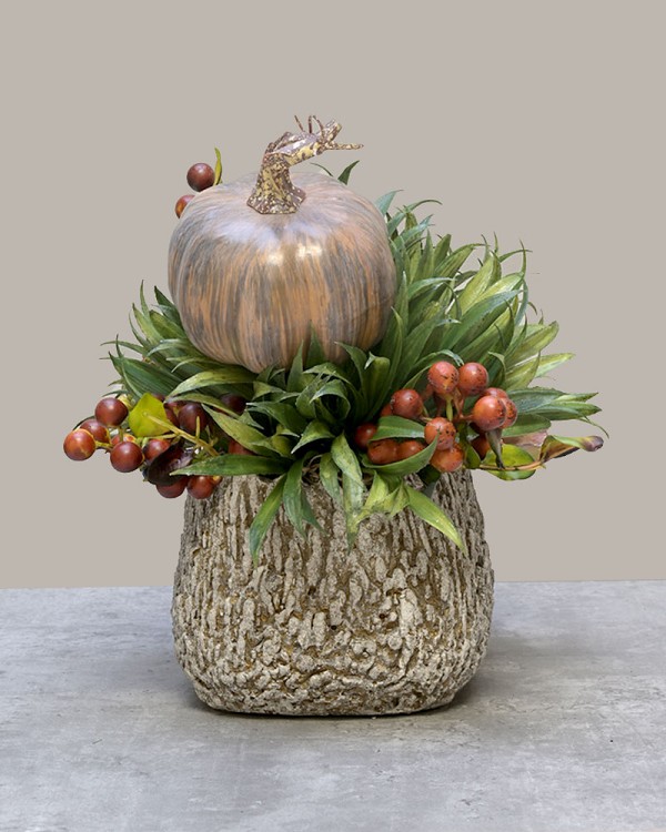 Autumn-Grove-5