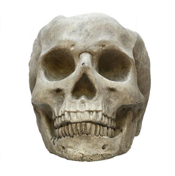 Skelaton5