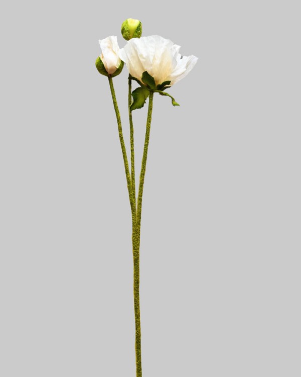 ST-WPY3-WH-225R-3
