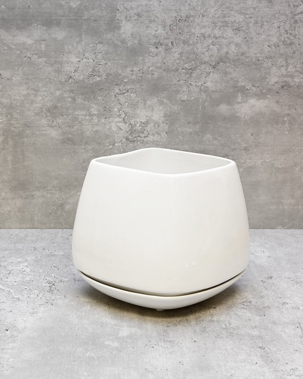CT-3020-WH-65-3