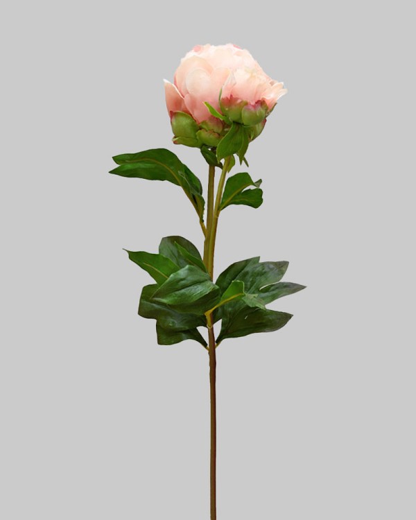 ST-WPE2-LTMV-27N-3