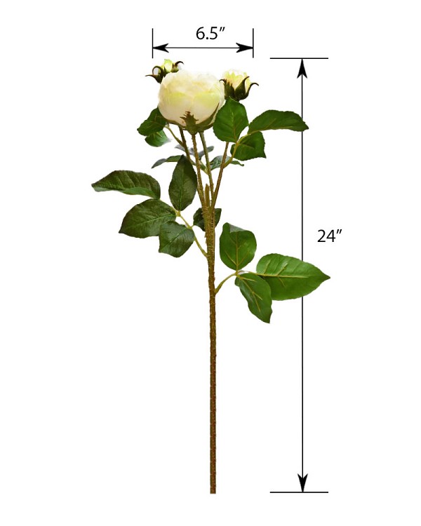 ST-WRO4-CR-24R-55