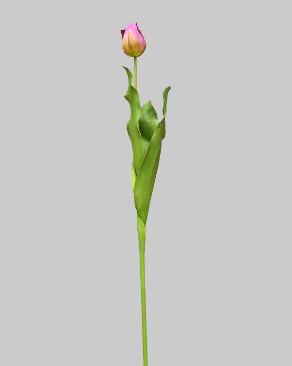 ST-WTP-PUG-245R-2
