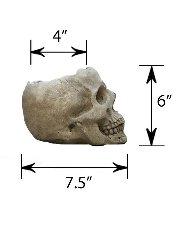 CT-4560-SKL-5-55