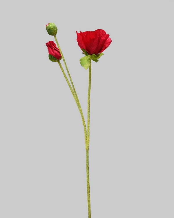 ST-WPY3-RD-225R-2