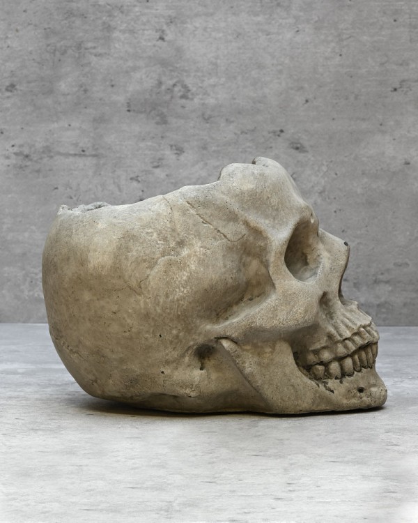 Skelaton2