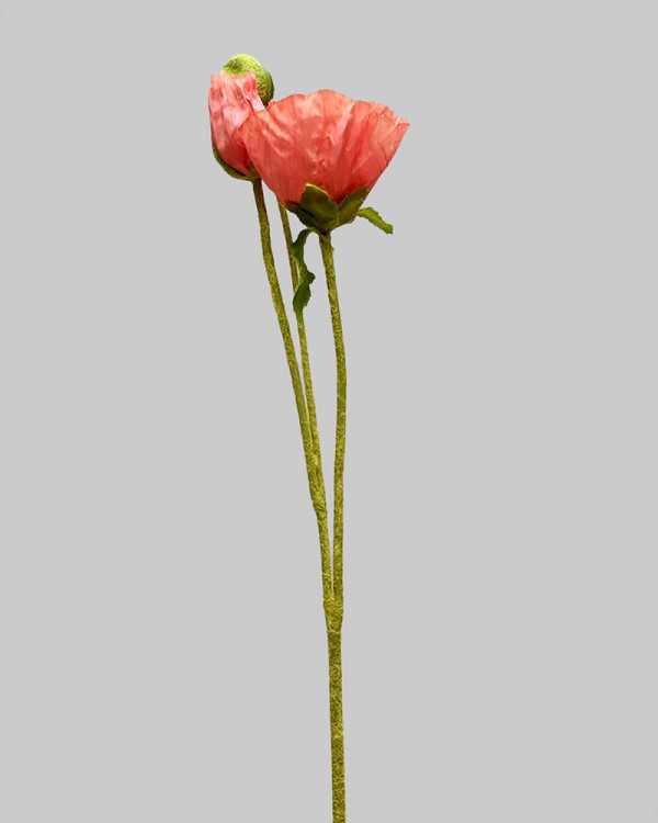 ST-WPY3-PP-225R-3