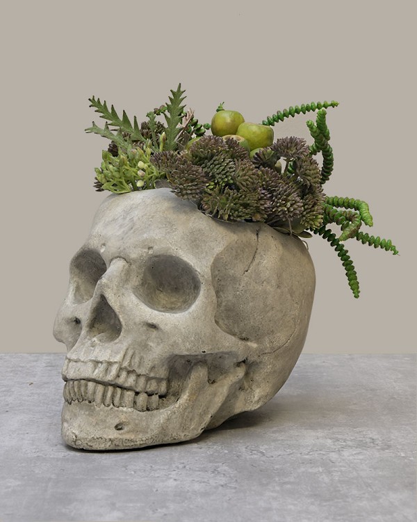 Skull-Garden-7