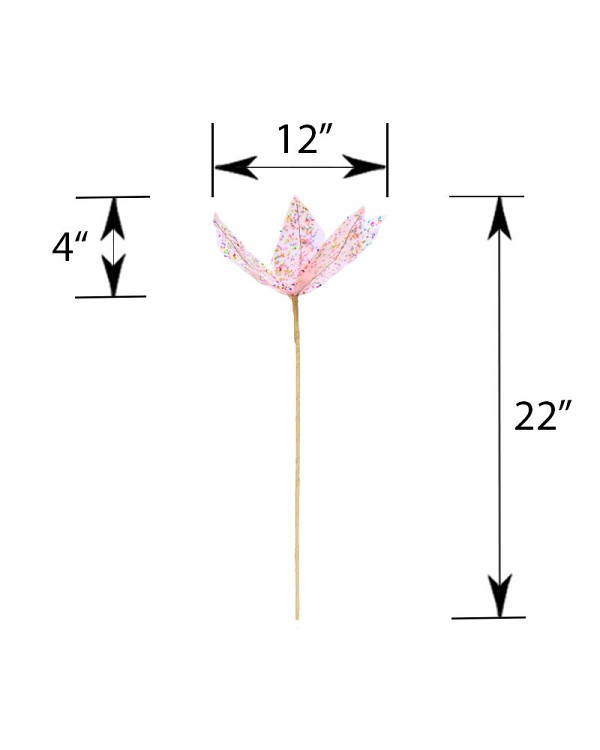 DS-DPO-PK-22BD-5