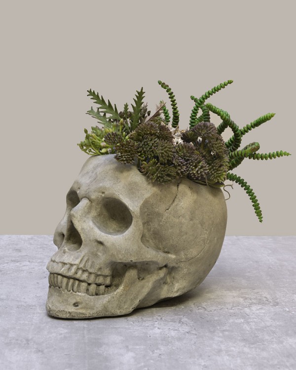 Bone-Garden-2
