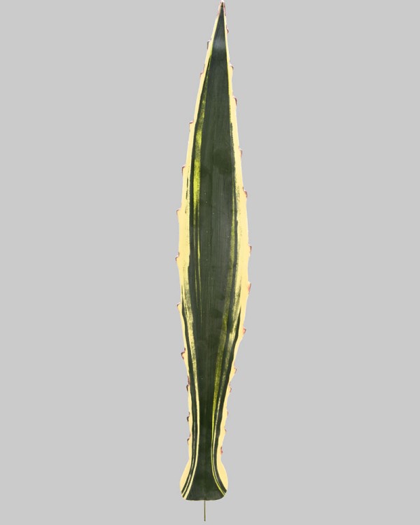 ST-85AG-VG-24-2jpg
