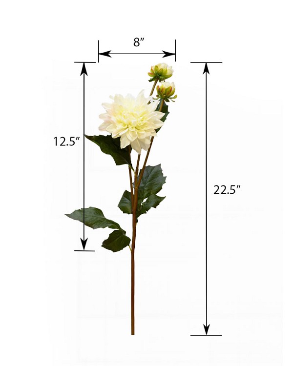 ST-WDH3-WH-225R-5