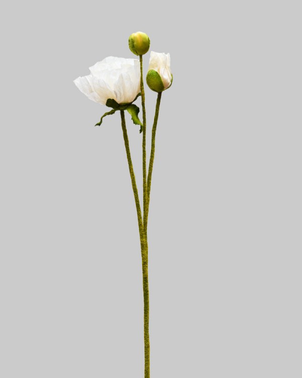 ST-WPY3-WH-225R-2