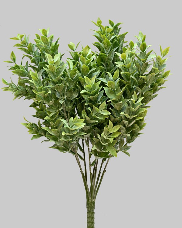 Tea Leaf Bush 12" Green