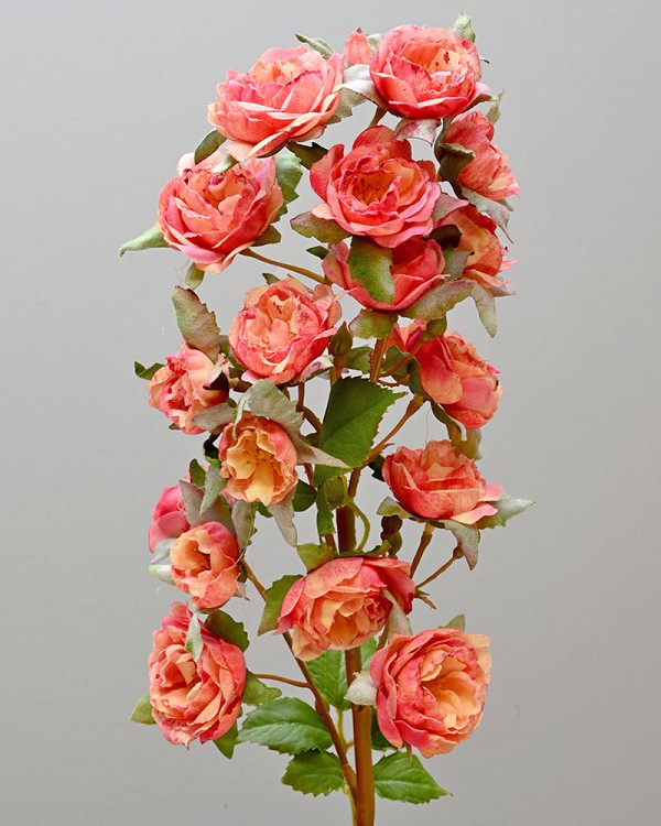 Rose Minnie 18.5" Peach/Red