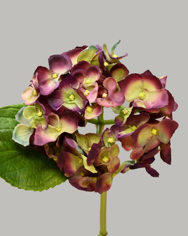 Hydrangea 18" (4" Bloom) Eggplant/Green  