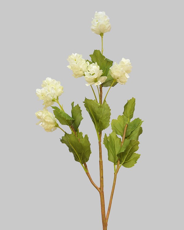 Hops 26.5" White