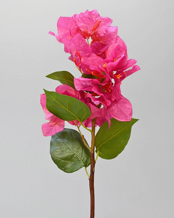 Bougainvillea 19" Fuchsia
