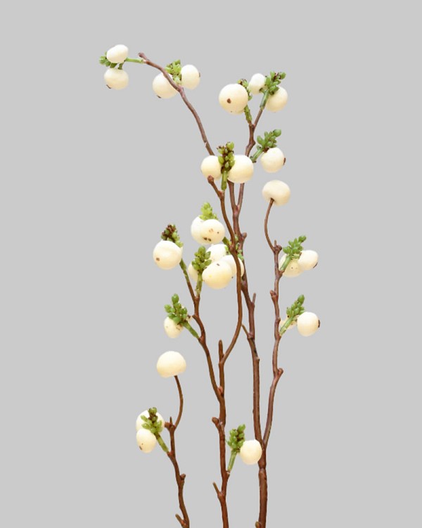 Blueberry 25" White