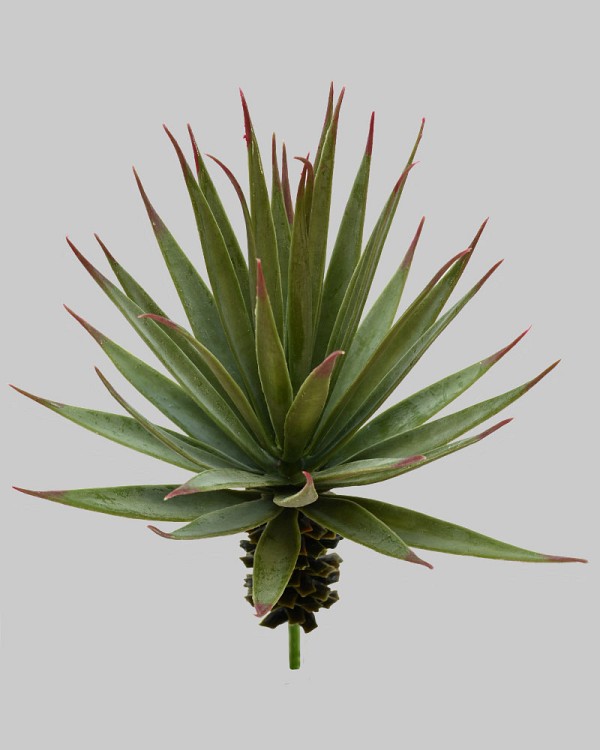 Desert Yucca 9" Green